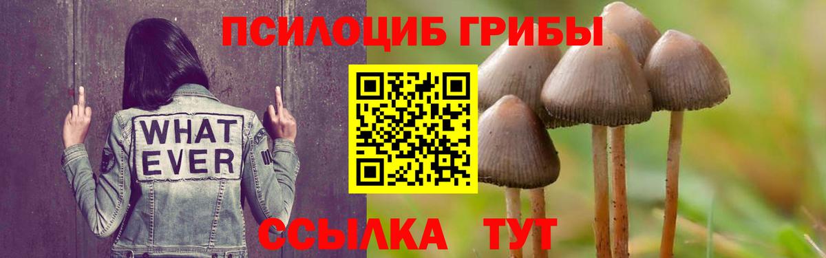 купить наркоту  Вход с VPN  Котлас  Галлюциногенные грибы GOLDEN TEACHER 