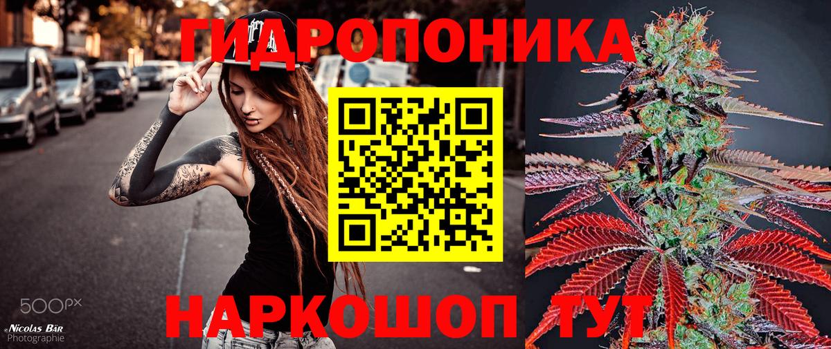 Каннабис конопля  Бошки марихуана AK-47  Вход с VPN  Марихуана LSD WEED  Шишки марихуана гибрид  Котлас 